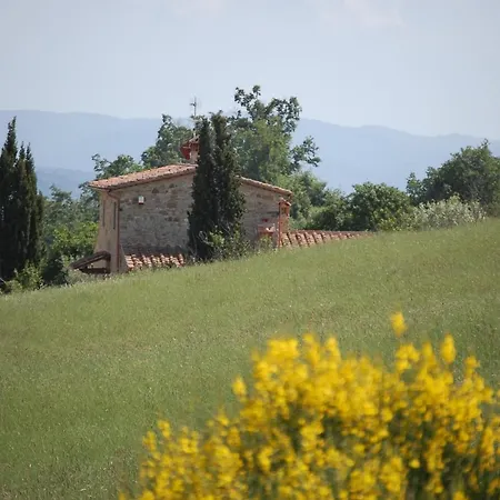 Il Podere Bellavista Bed & Breakfast Montecatini Val di Cecina