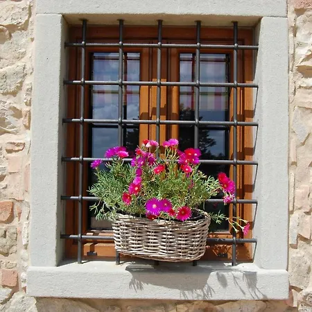 Il Podere Bellavista Bed & Breakfast Montecatini Val di Cecina
